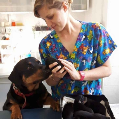 Ambulatorio Veterinario Oceano Indiano