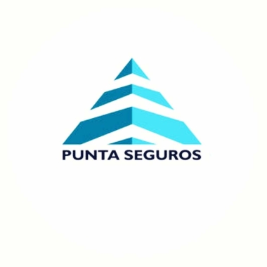 PUNTA SEGUROS