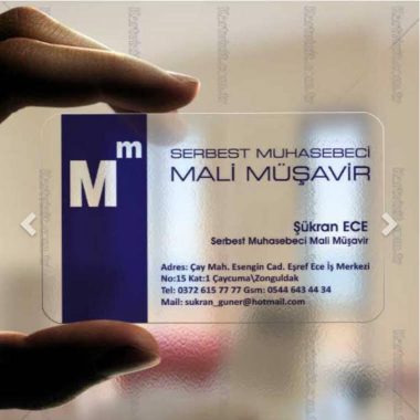 Mali Müşavir Şükran Guner ECE