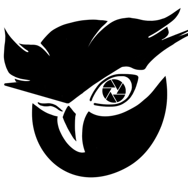 Owlview Production