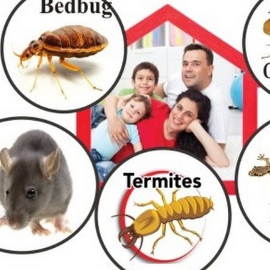 Suraj pest control pvt.ltd.