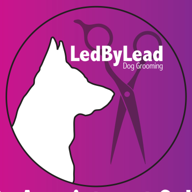 LedByLead Dog Grooming