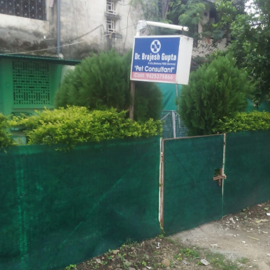 Dr Brajesh Gupta pets clinic