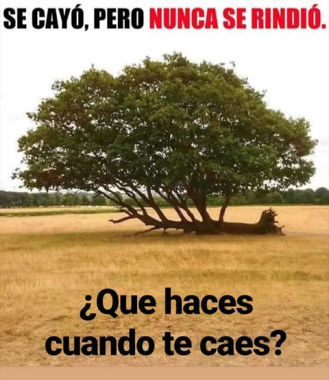 Fundacion el Renacer