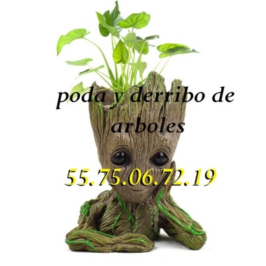 Jardineria xochimilco