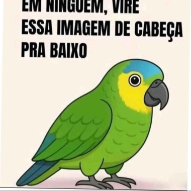 Thiago Souza melo