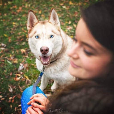 Emma Comportementaliste canin ﹠ félin