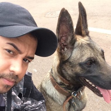 JR adestramento de Cães