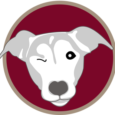 Hundetherapiezentrum Frankfurt