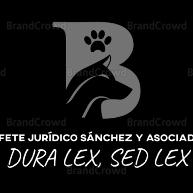 SÁNCHEZ ﹠ ASOCIADOS
